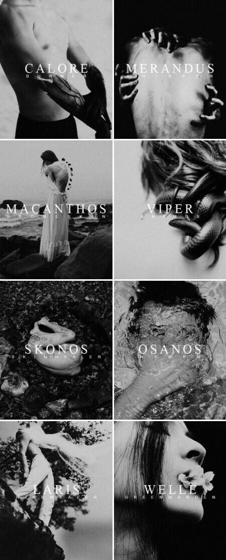 Representação das casas!